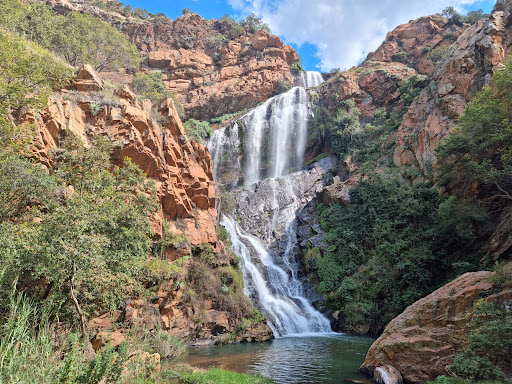 Johannesburg Tours