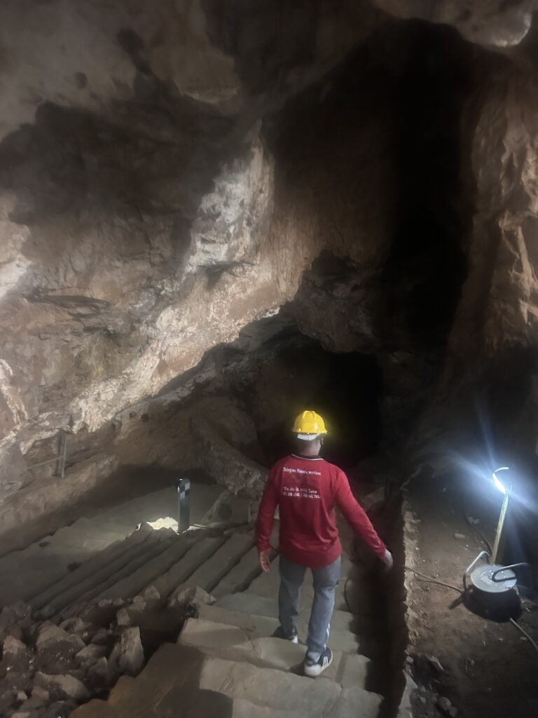 Cradle of Humankind Tour
